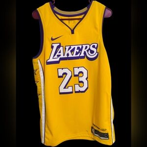 Nike NBA Lebron James #23 Purple&Yellow Los Angeles Lakers Jersey "Lore Series"